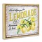 Stupell Industries Fresh Squeezed Lemonade Floater Framed Canvas Wall Art Design by Creatif Belle